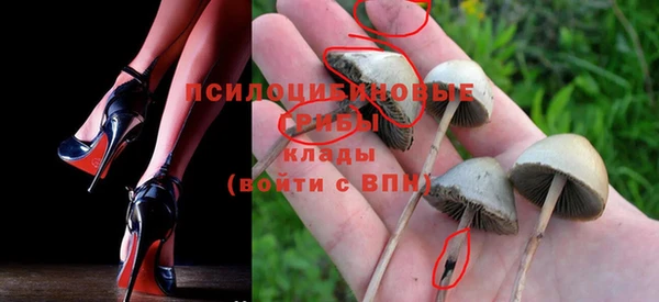 индика Володарск
