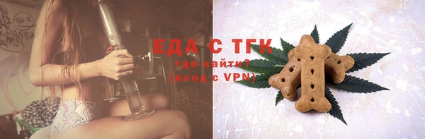 индика Володарск