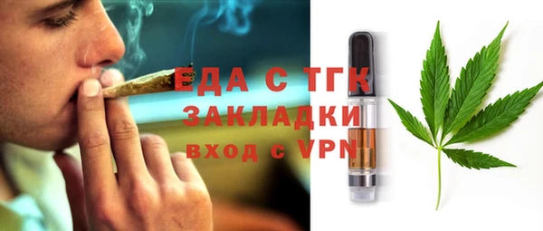 индика Володарск