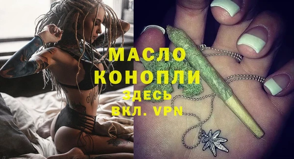 индика Володарск