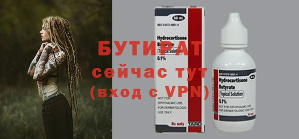 индика Володарск