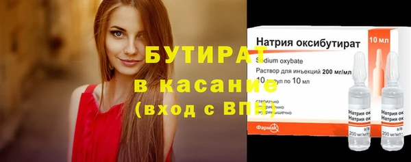 индика Володарск