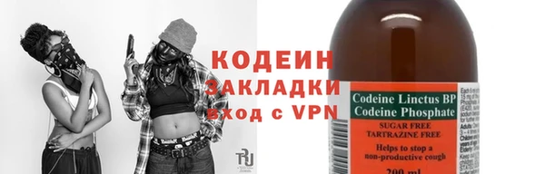 индика Володарск