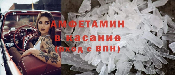 индика Володарск