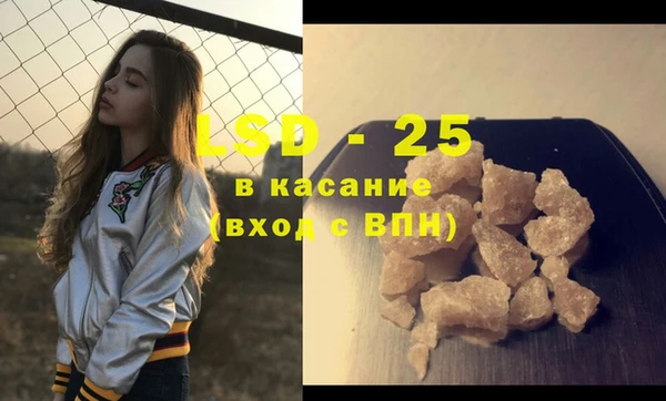 индика Володарск