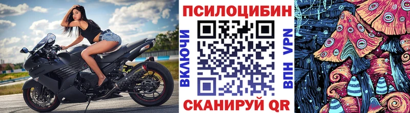 Галлюциногенные грибы Magic Shrooms Нижневартовск
