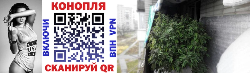 Бошки Шишки тримм блэк спрут tor Нижневартовск